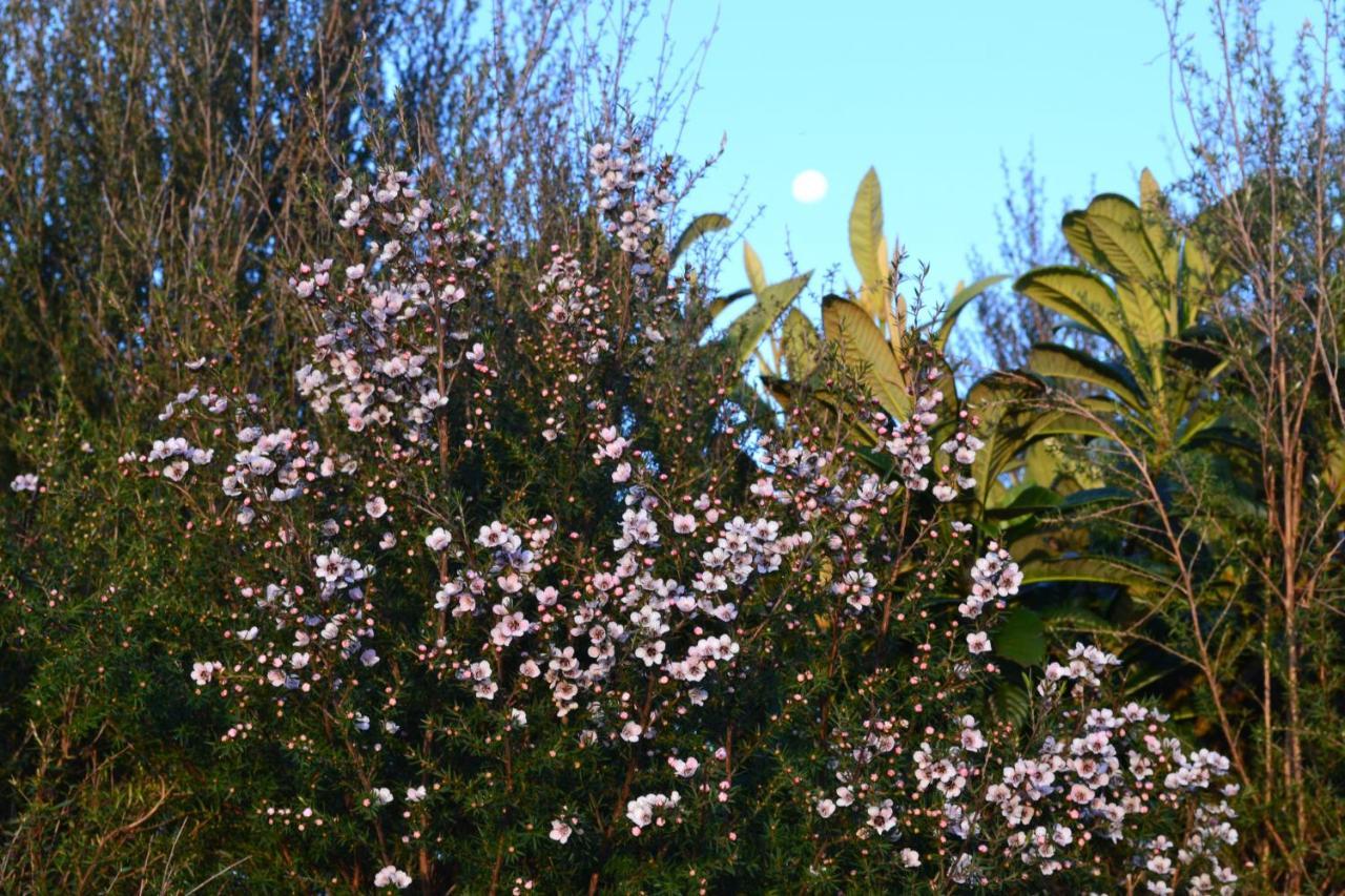 Manuka Views - Close To Thermal Hot Pools Kaukapakapa Exterior foto